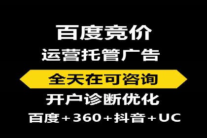 竞价托管服务对比：不同平台的优劣分析